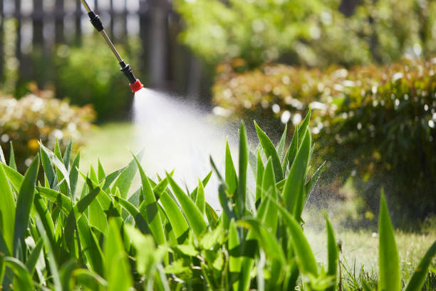 24/7 Emergency Termite Control experts in Cedarburg, WI